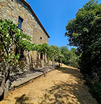 Foto annuncio 1