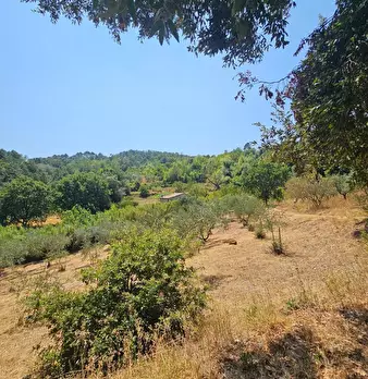 Foto annuncio 12