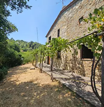 Foto annuncio 3