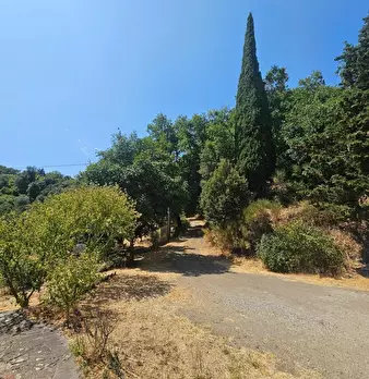 Foto annuncio 7