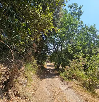 Foto annuncio 13