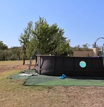 Foto annuncio 5