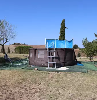 Foto annuncio 6