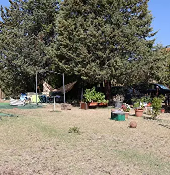 Foto annuncio 4
