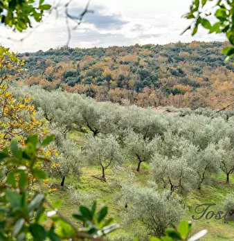 Foto annuncio 19
