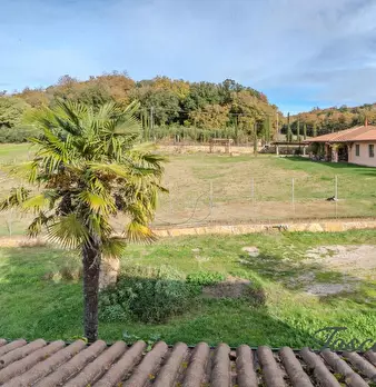 Foto annuncio 67