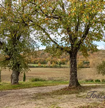 Foto annuncio 18