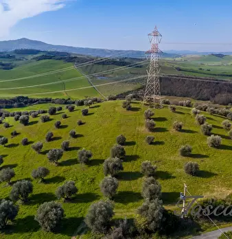 Foto annuncio 8
