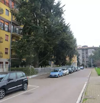 Foto annuncio 2