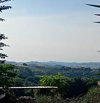 Foto annuncio 22