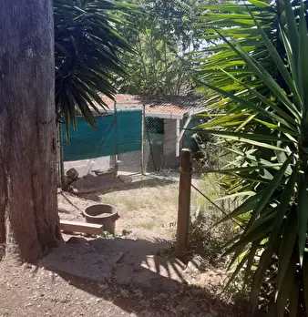 Foto annuncio 32