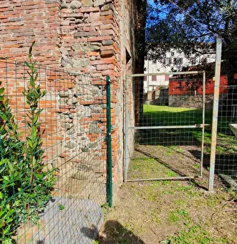 Foto annuncio 7