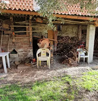 Foto annuncio 5