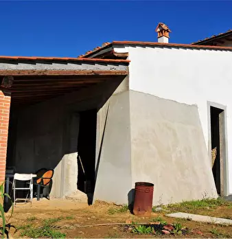 Foto annuncio 12