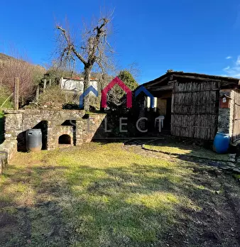 Foto annuncio 24
