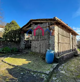 Foto annuncio 23