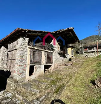 Foto annuncio 20