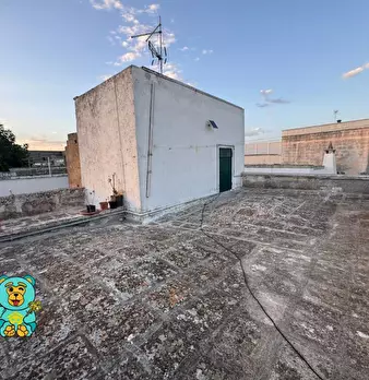 Foto annuncio 28