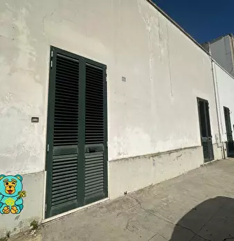 Foto annuncio 10