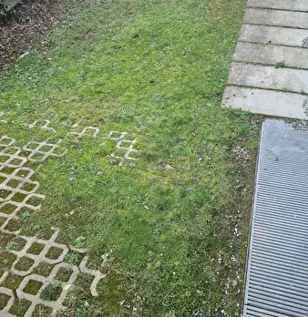 Foto annuncio 13