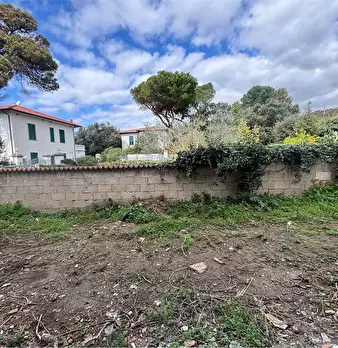 Foto annuncio 36
