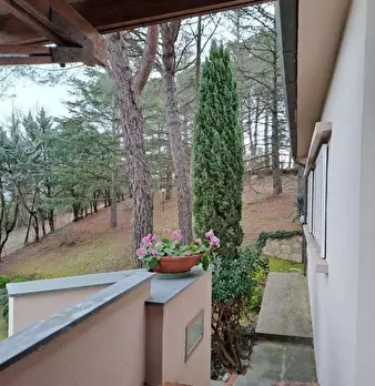 Foto annuncio 6
