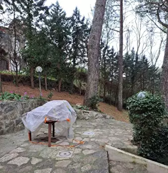 Foto annuncio 11