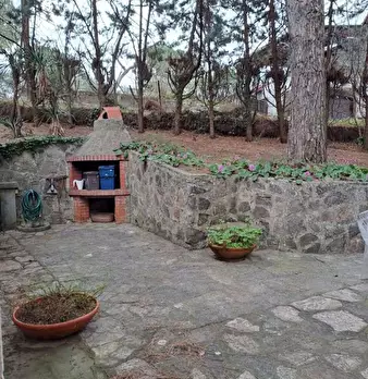 Foto annuncio 12
