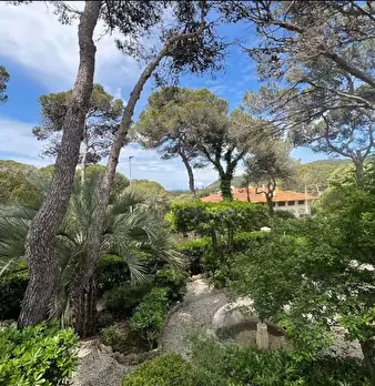 Foto annuncio 12