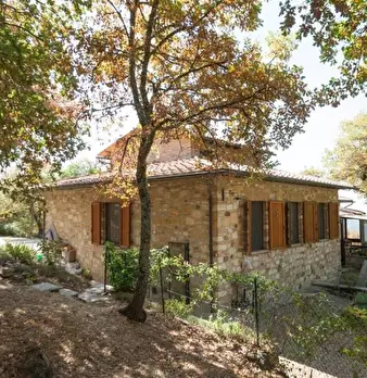 Foto annuncio 5