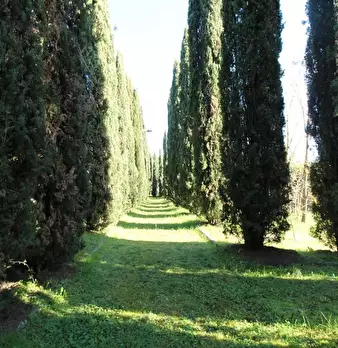 Foto annuncio 32