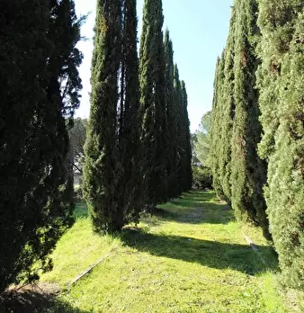 Foto annuncio 31