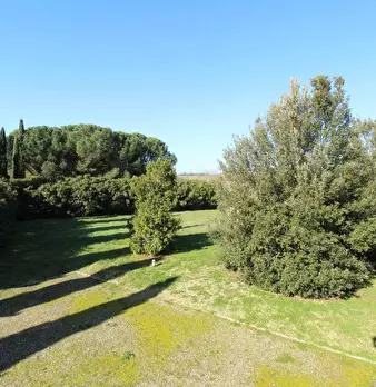 Foto annuncio 28