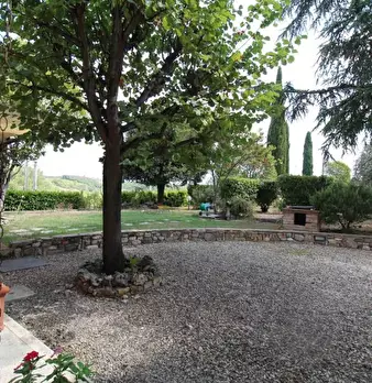 Foto annuncio 16