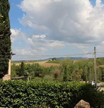 Foto annuncio 17