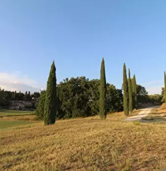 Foto annuncio 21