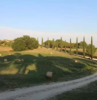 Foto annuncio 23