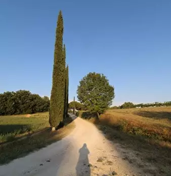 Foto annuncio 22