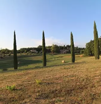 Foto annuncio 19
