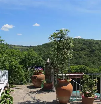 Foto annuncio 7
