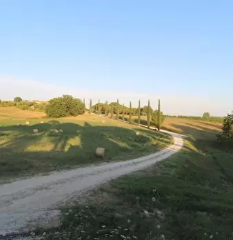 Foto annuncio 31