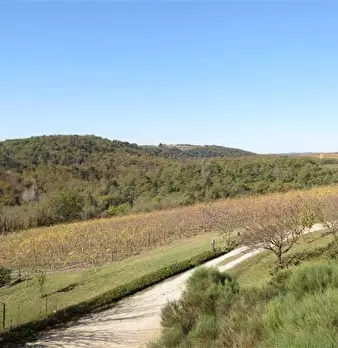 Foto annuncio 8