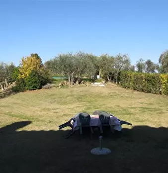 Foto annuncio 7