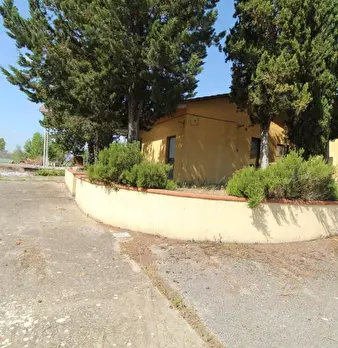 Foto annuncio 37