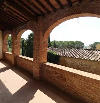 Foto annuncio 10