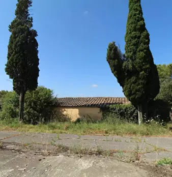 Foto annuncio 5