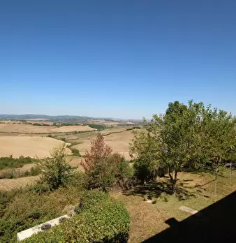 Foto annuncio 10