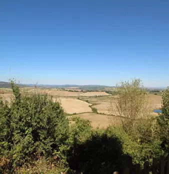 Foto annuncio 14