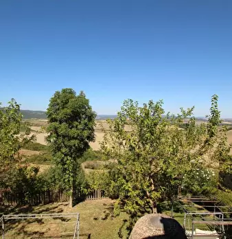 Foto annuncio 18