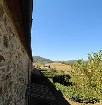 Foto annuncio 19